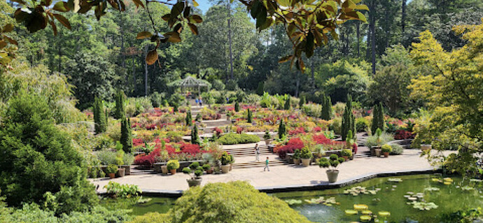 Screenshot 2025-01-24 at 11.40.18 AM