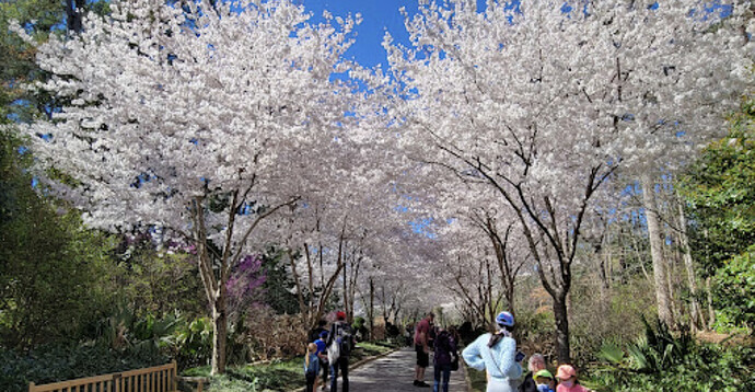 Screenshot 2025-01-24 at 11.41.11 AM